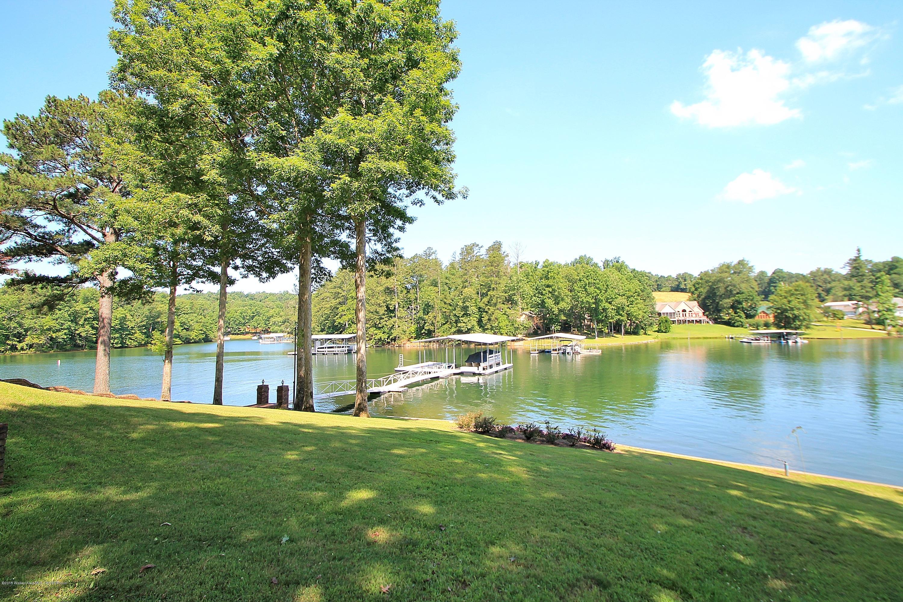 1189 Raccoon Creek Road Jasper, AL 35504 - Photo 4 of 36 Gallery Image 4