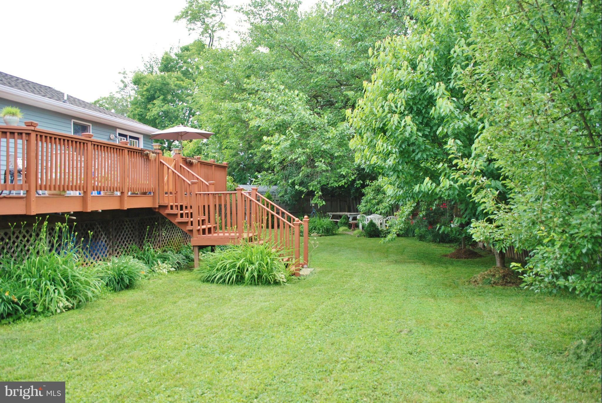 229 Savage Road Frederick, MD 21702 - Photo 15 of 24 Exterior (Rear)