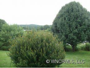 1081 New Stock Road Weaverville, NC 28787 - Photo 13 of 17 Gallery Image 13