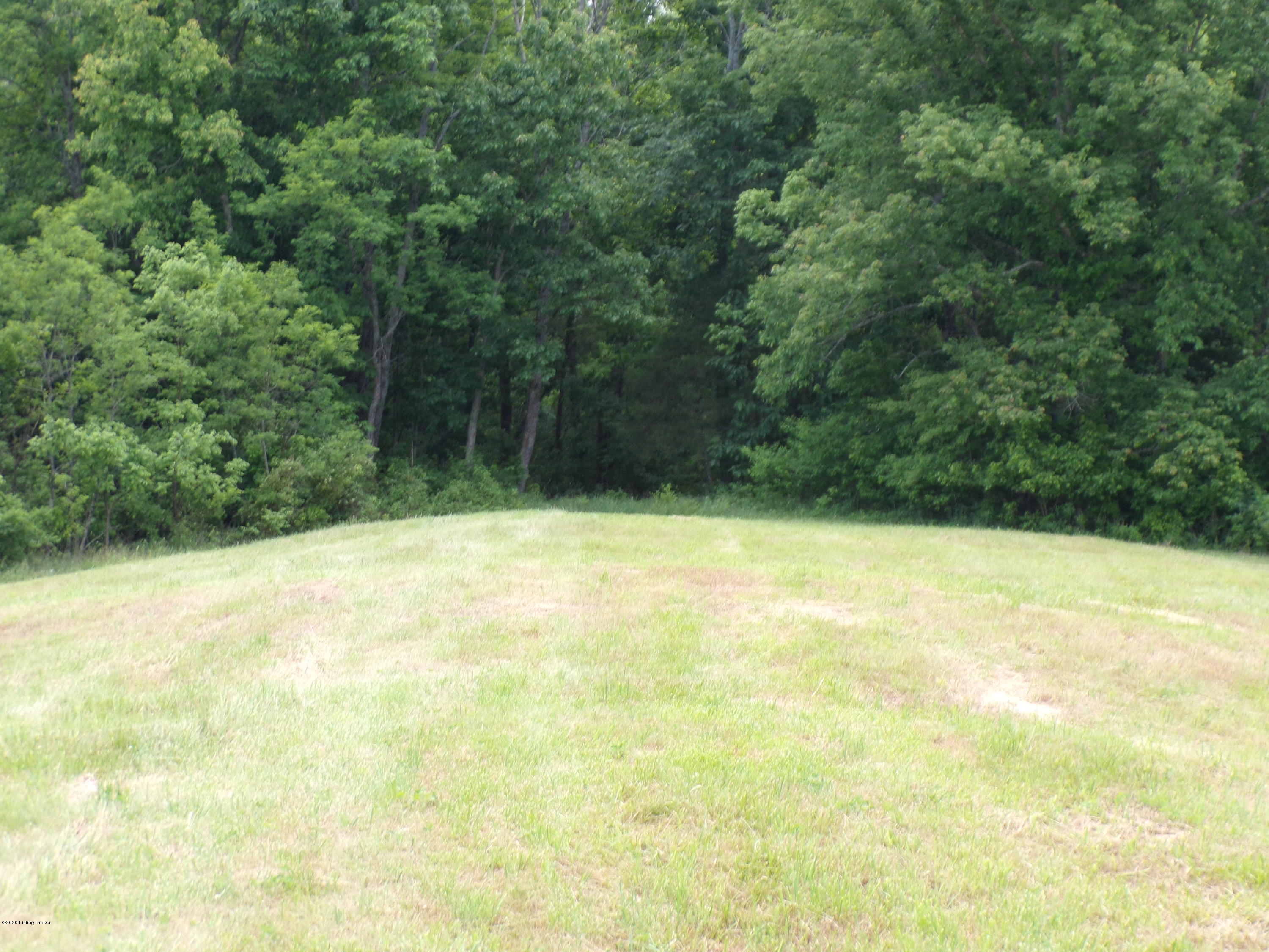 7945 Lawrenceburg Road Chaplin, KY 40012 - Photo 45 of 45 100_0118