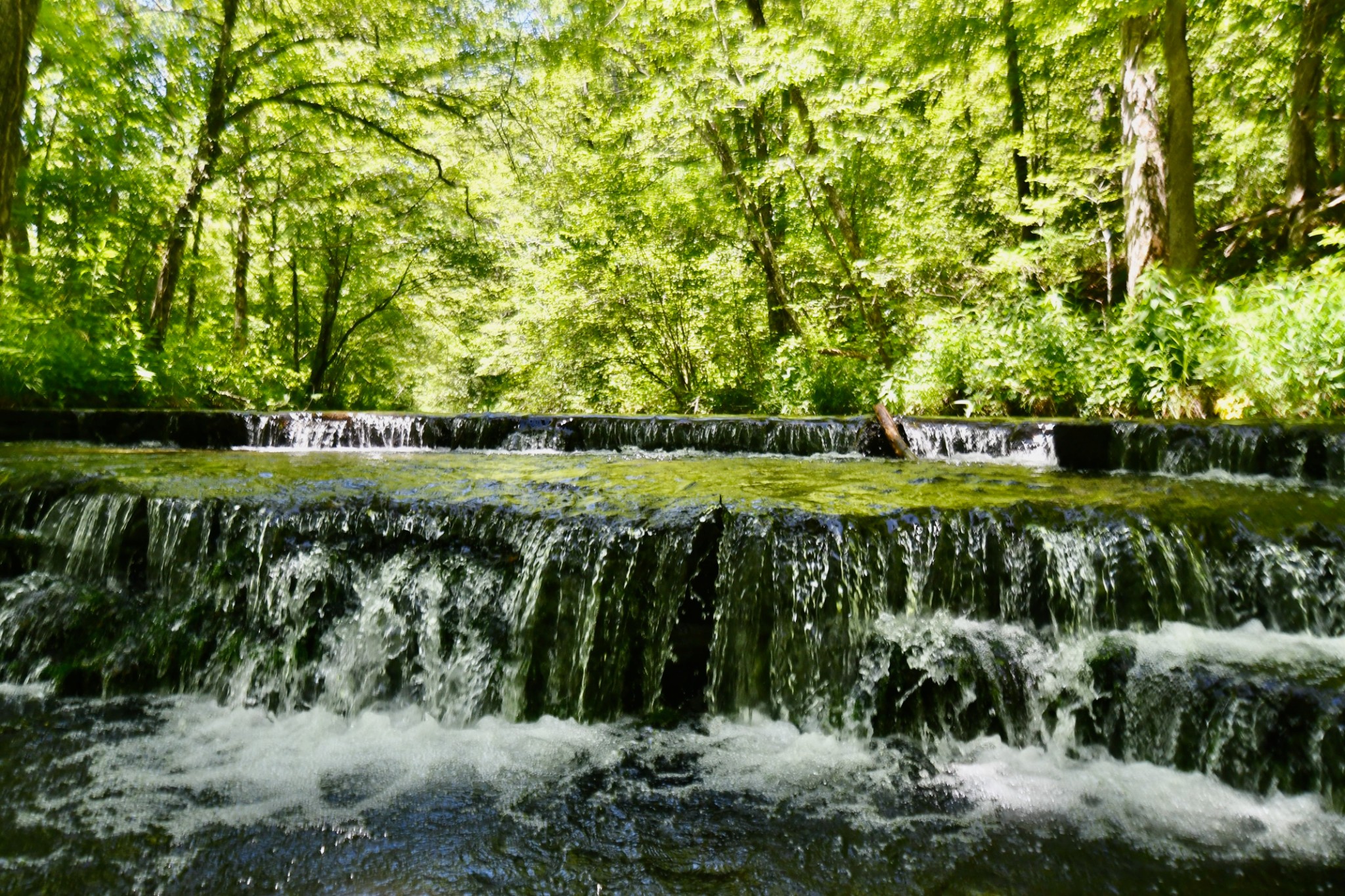 0 Allens Creek Road Hohenwald, TN 38462 - Photo 14 of 86 a view of a street