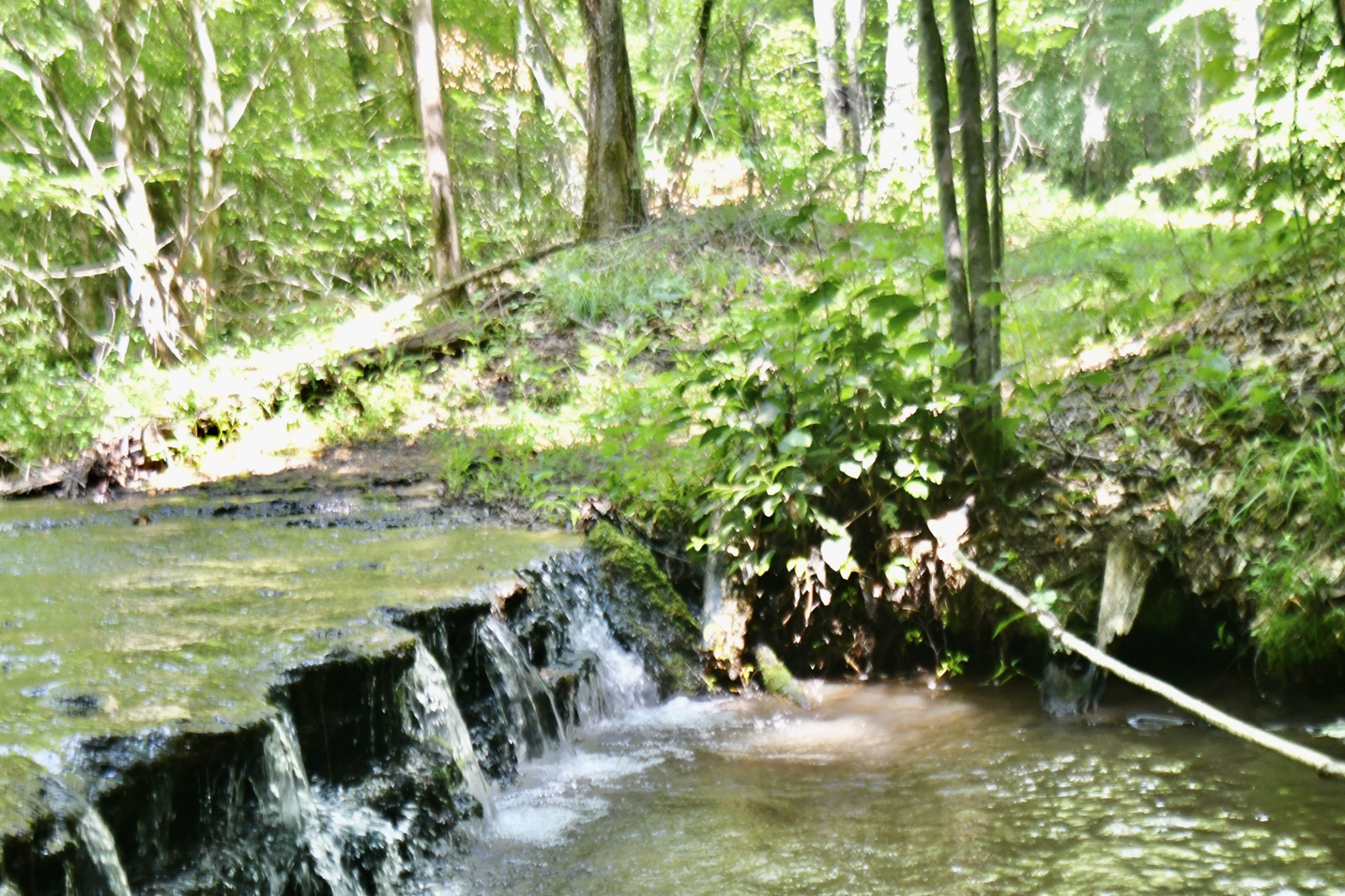 0 Allens Creek Road Hohenwald, TN 38462 - Photo 18 of 86