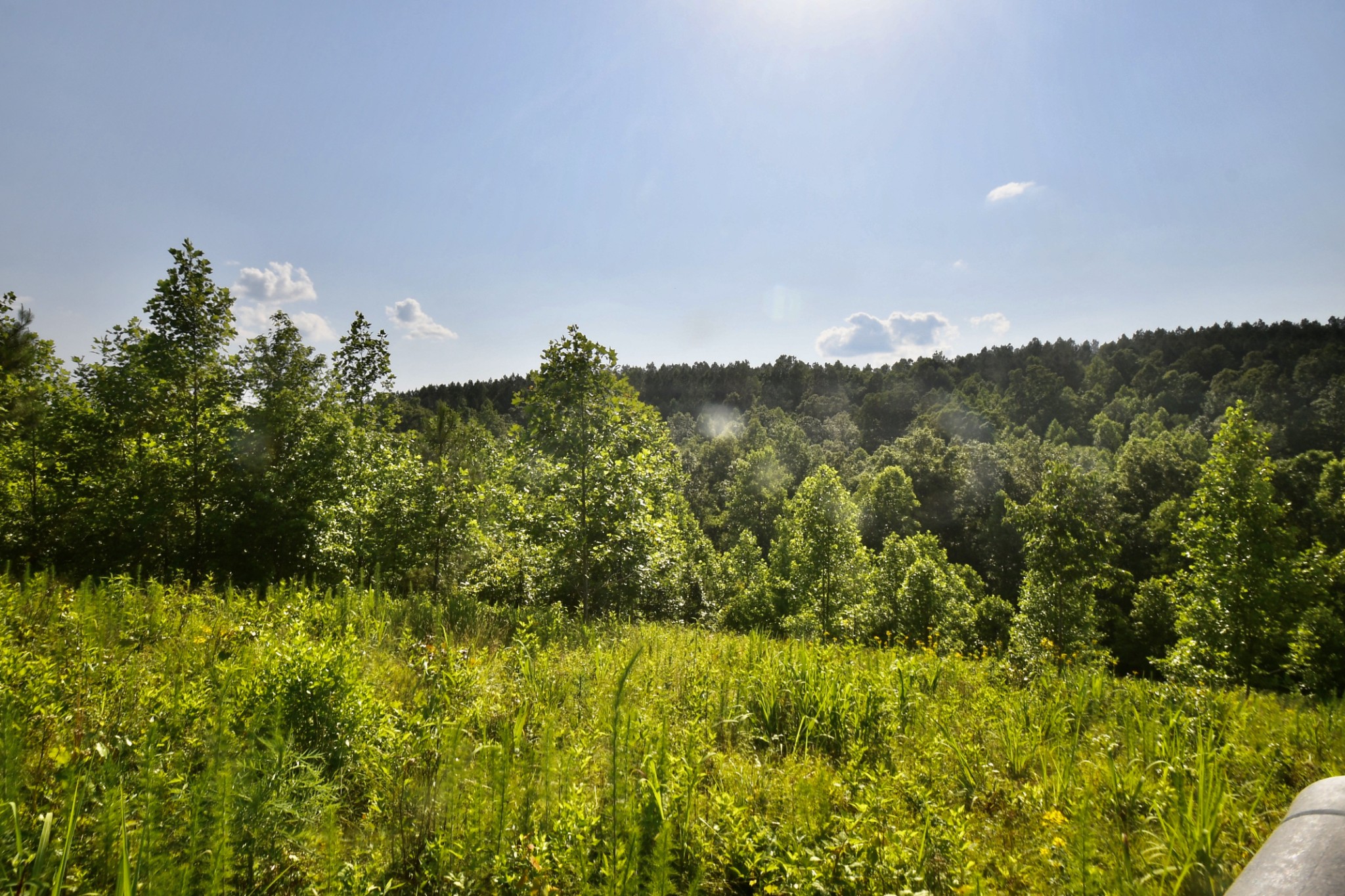 0 Allens Creek Road Hohenwald, TN 38462 - Photo 20 of 86