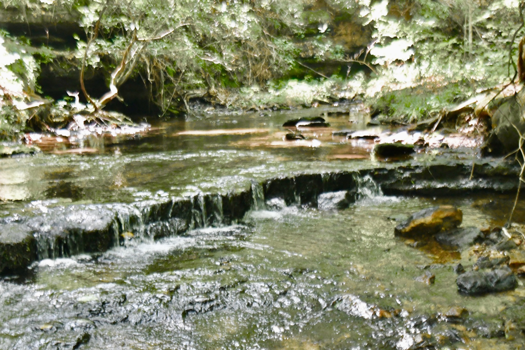 0 Allens Creek Road Hohenwald, TN 38462 - Photo 23 of 86 a view of a lake with houses