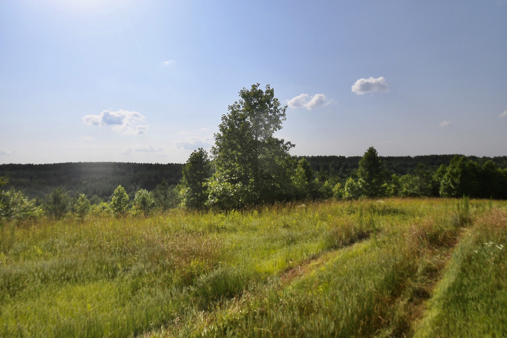 0 Allens Creek Road Hohenwald, TN 38462 - Photo 24 of 86 a view of a lake with houses in the back