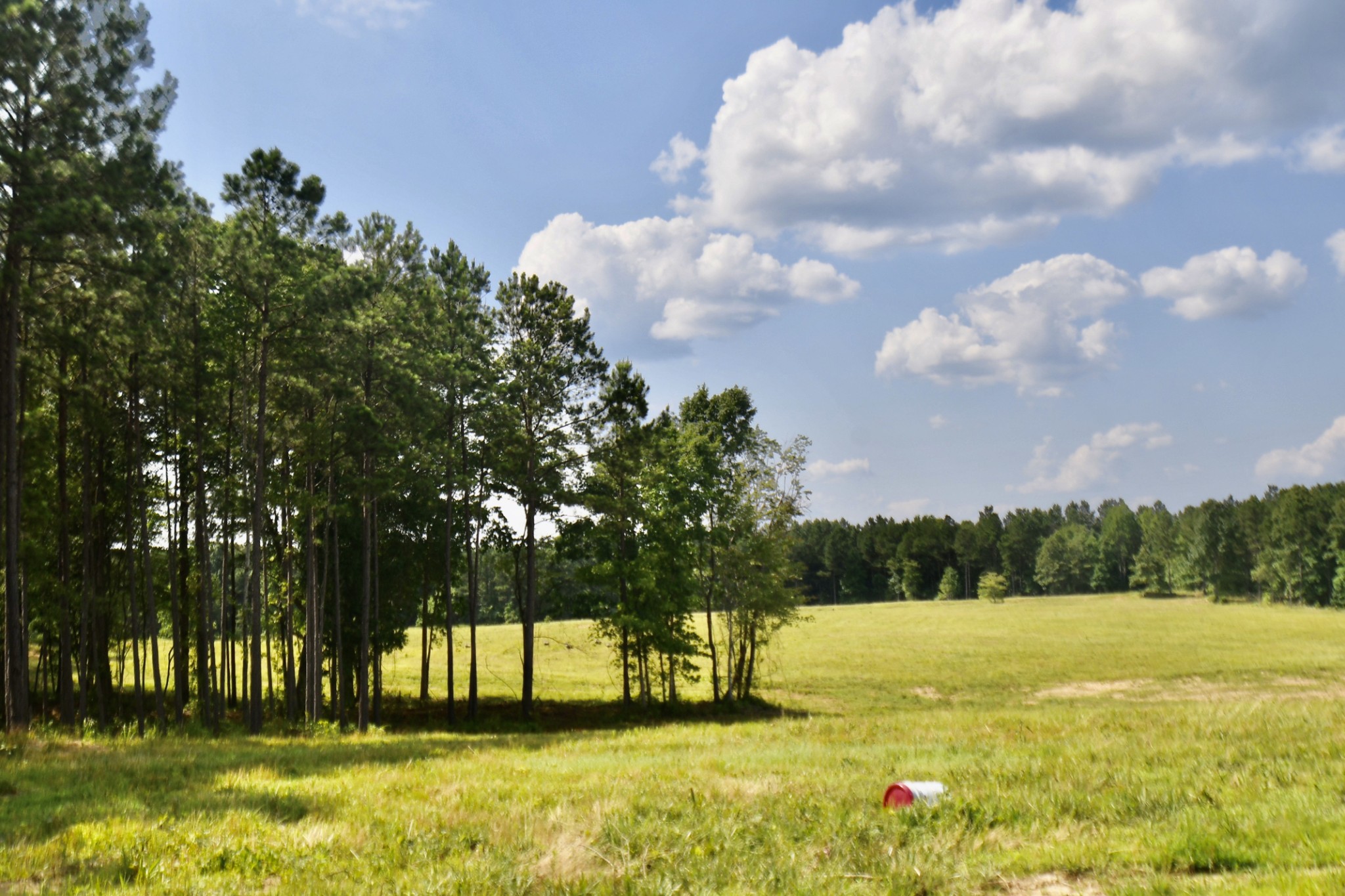 0 Allens Creek Road Hohenwald, TN 38462 - Photo 30 of 86 a view of yard with swimming pool and green space