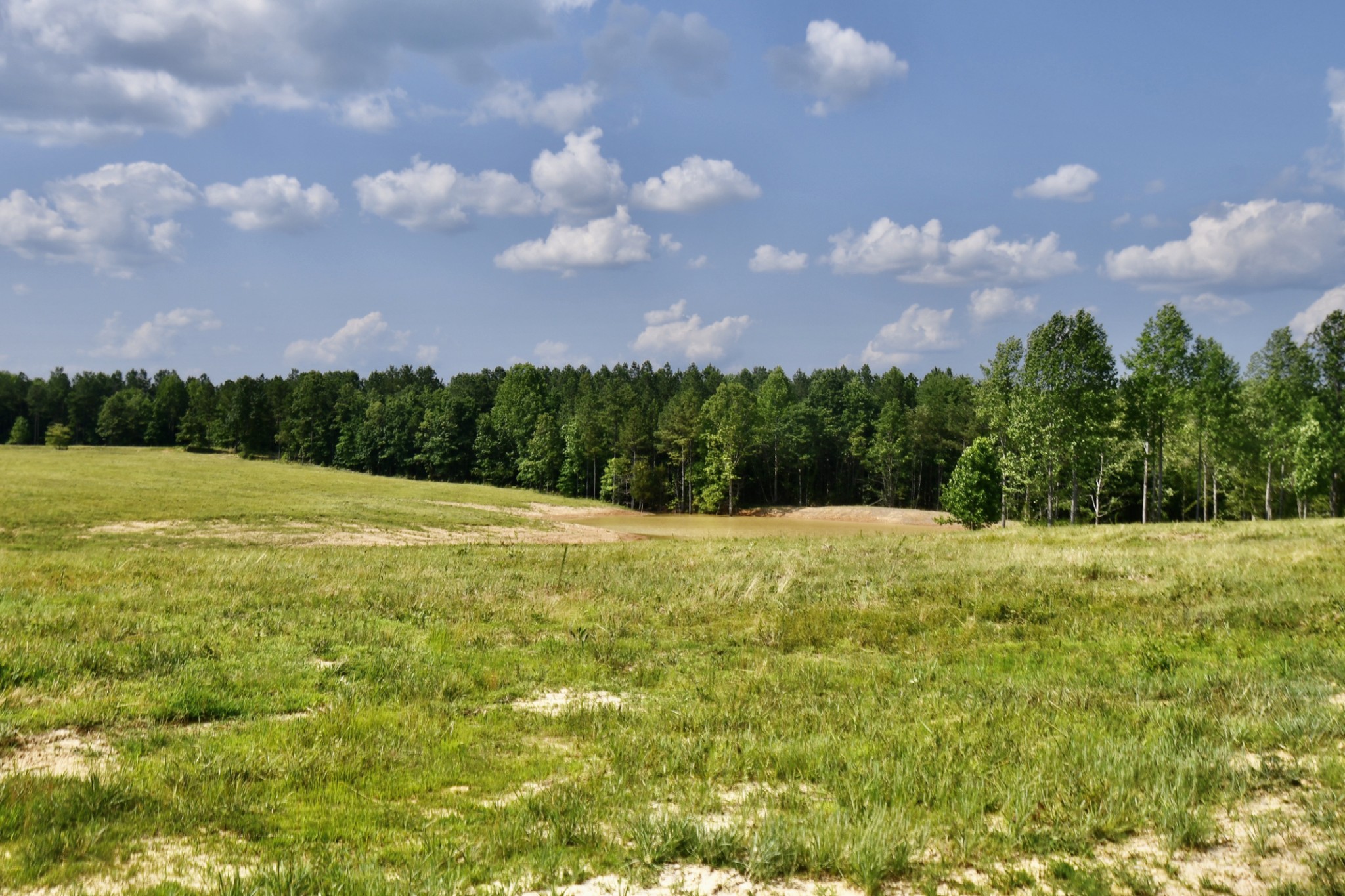 0 Allens Creek Road Hohenwald, TN 38462 - Photo 32 of 86 a backyard of a house with lots of green space