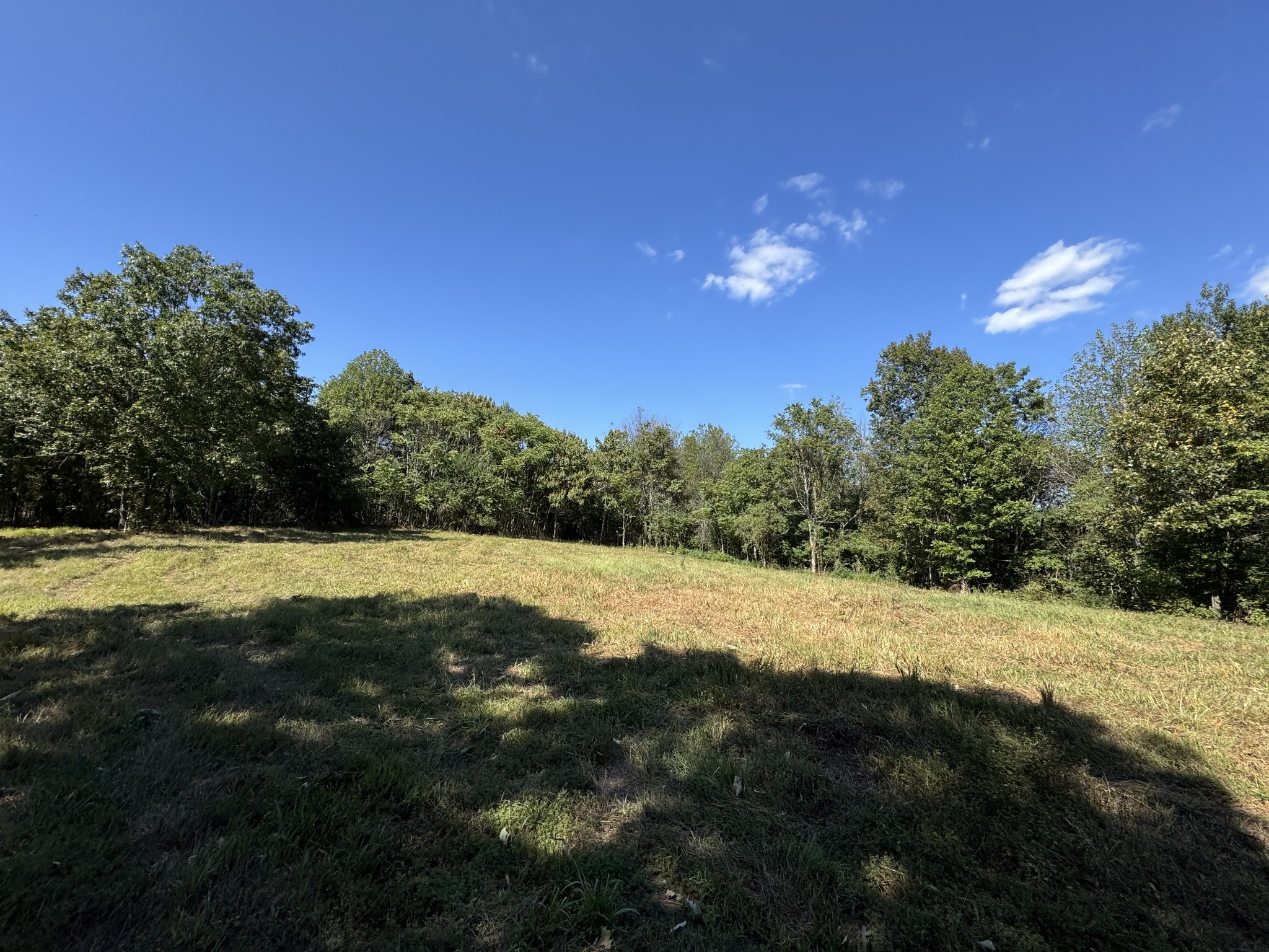 0 Allens Creek Road Hohenwald, TN 38462 - Photo 39 of 86 a view of a field with trees in the background