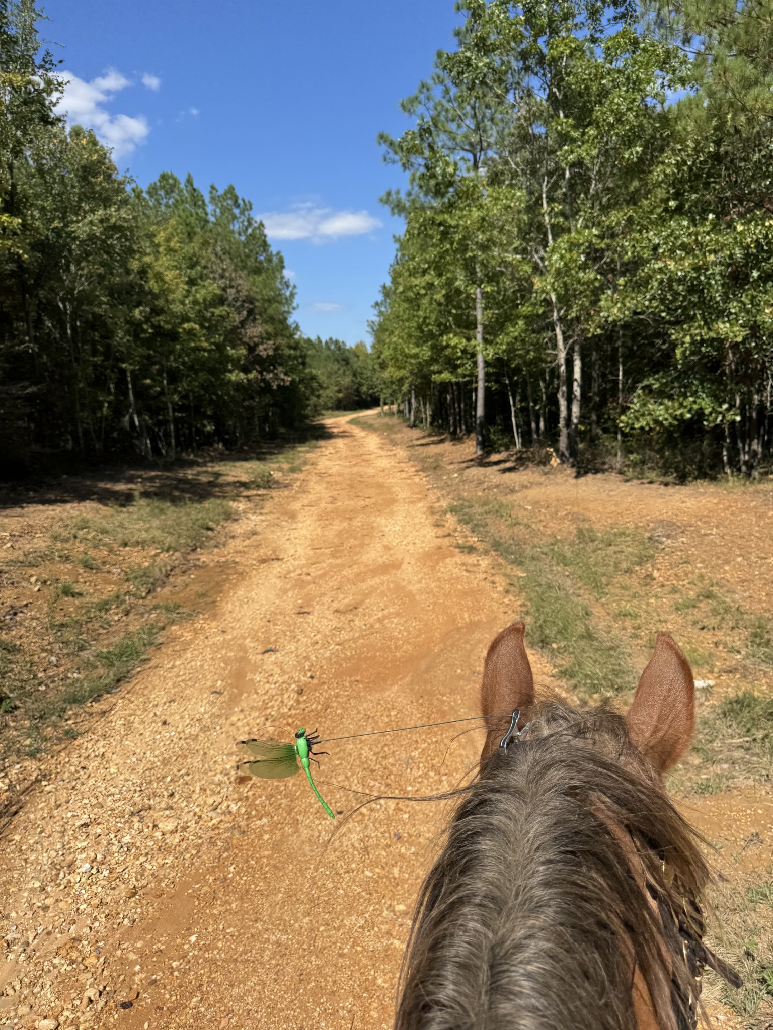 0 Allens Creek Road Hohenwald, TN 38462 - Photo 43 of 86 a view of a swimming pool with an outdoor space and seating area