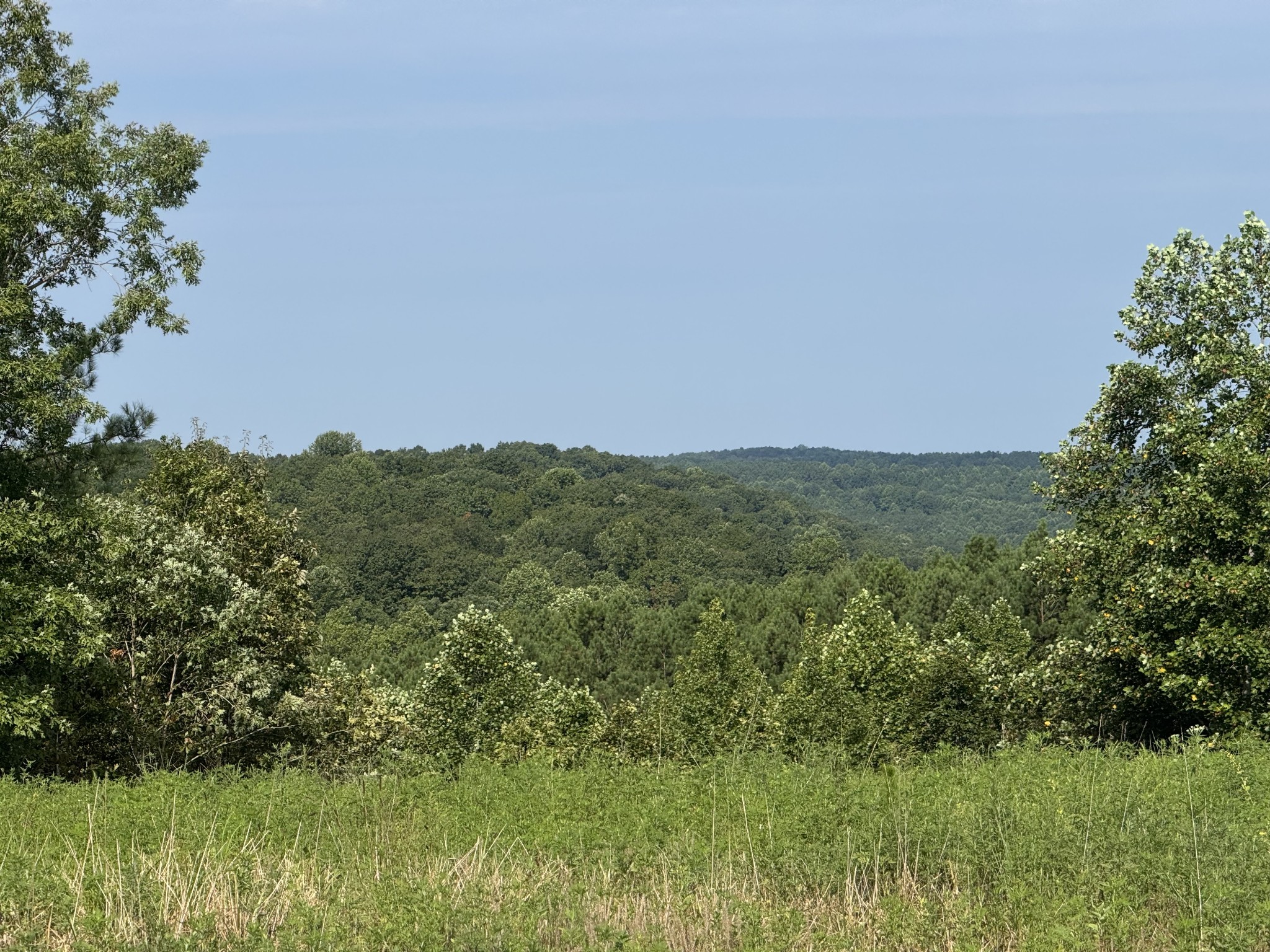 0 Allens Creek Road Hohenwald, TN 38462 - Photo 46 of 86 a view of a lush green space with sea