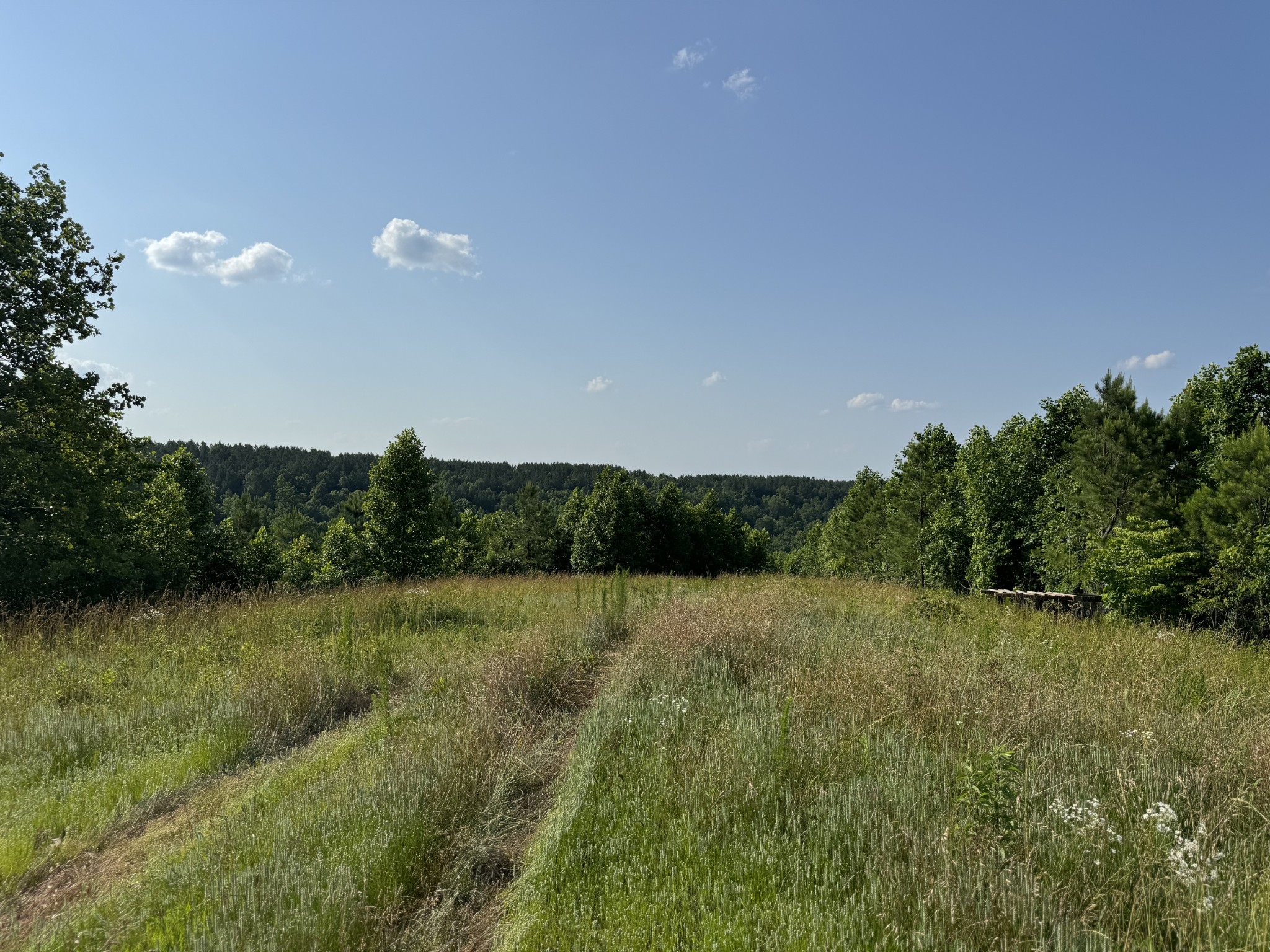 0 Allens Creek Road Hohenwald, TN 38462 - Photo 54 of 86