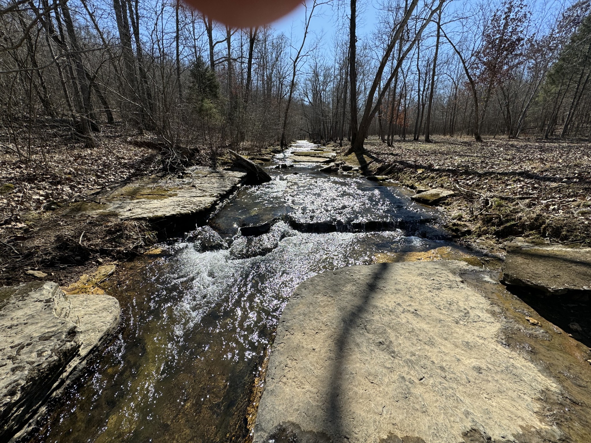 0 Allens Creek Road Hohenwald, TN 38462 - Photo 64 of 86
