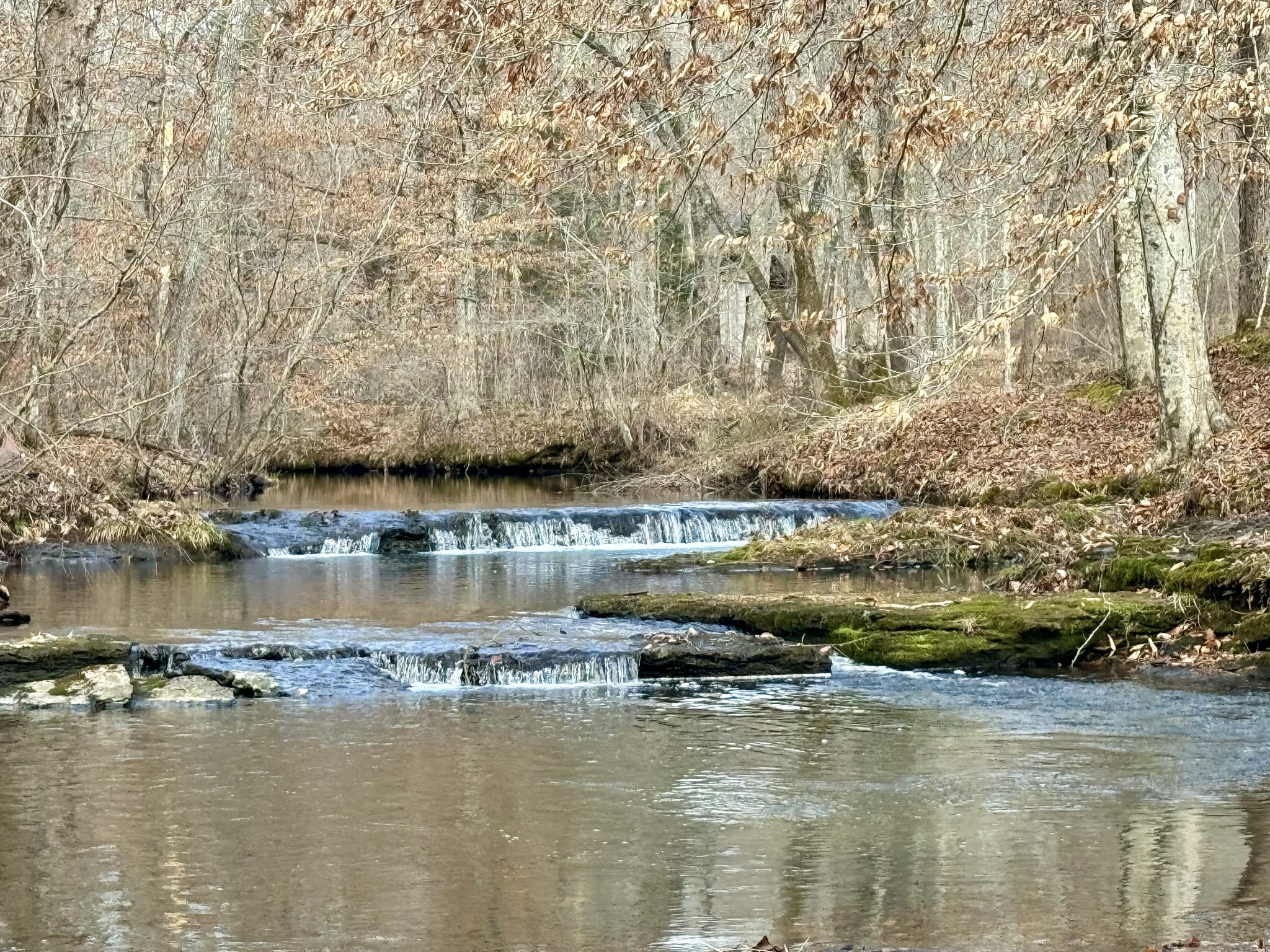 0 Allens Creek Road Hohenwald, TN 38462 - Photo 65 of 86