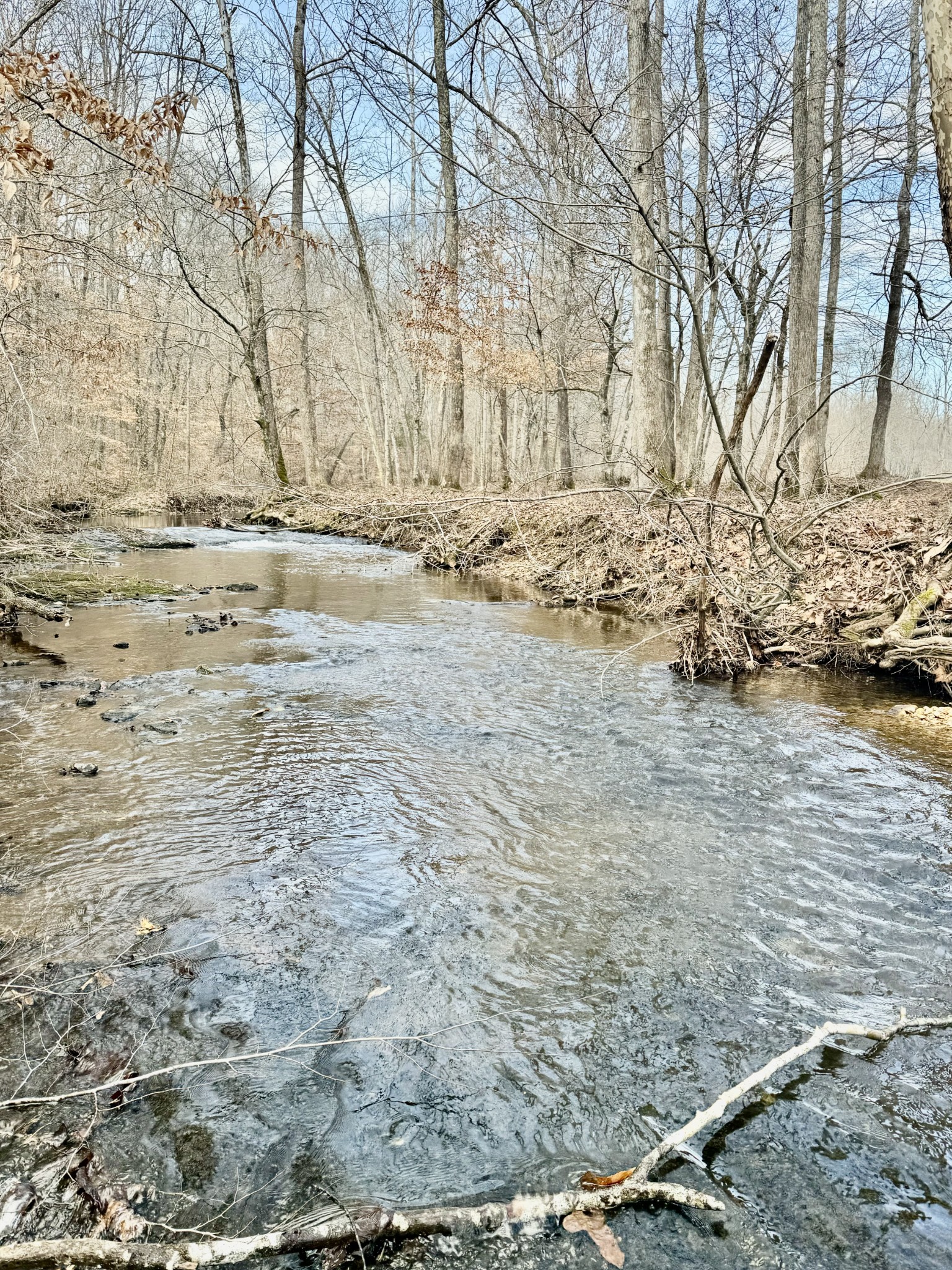 0 Allens Creek Road Hohenwald, TN 38462 - Photo 66 of 86