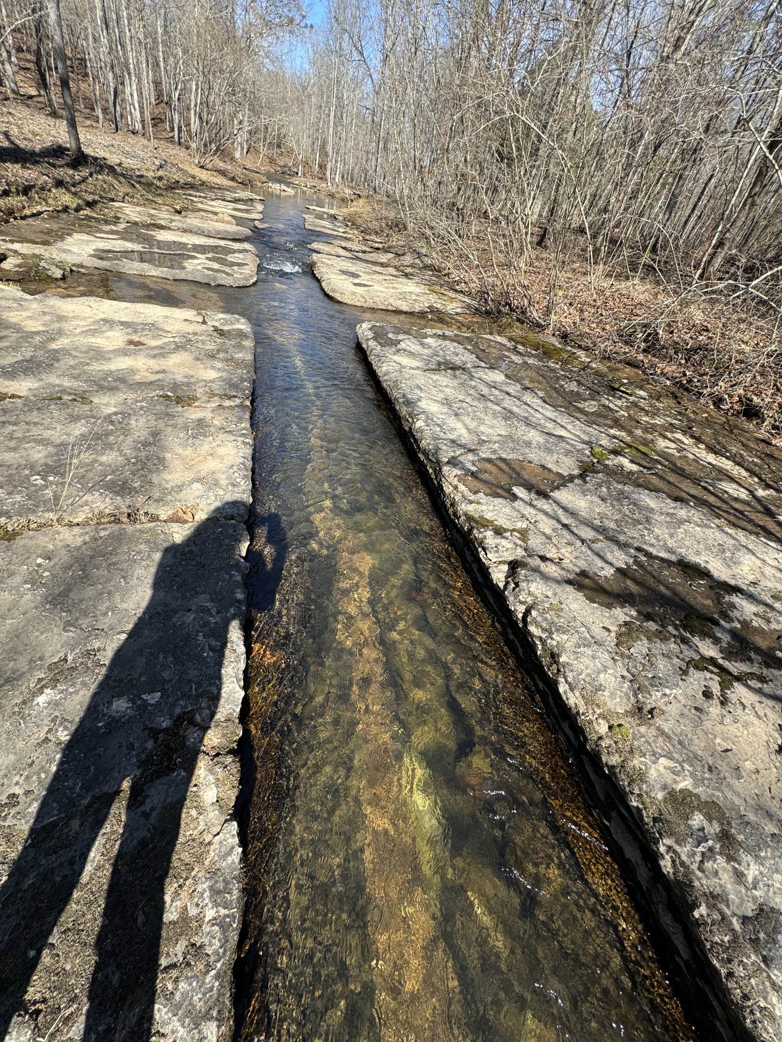 0 Allens Creek Road Hohenwald, TN 38462 - Photo 68 of 86