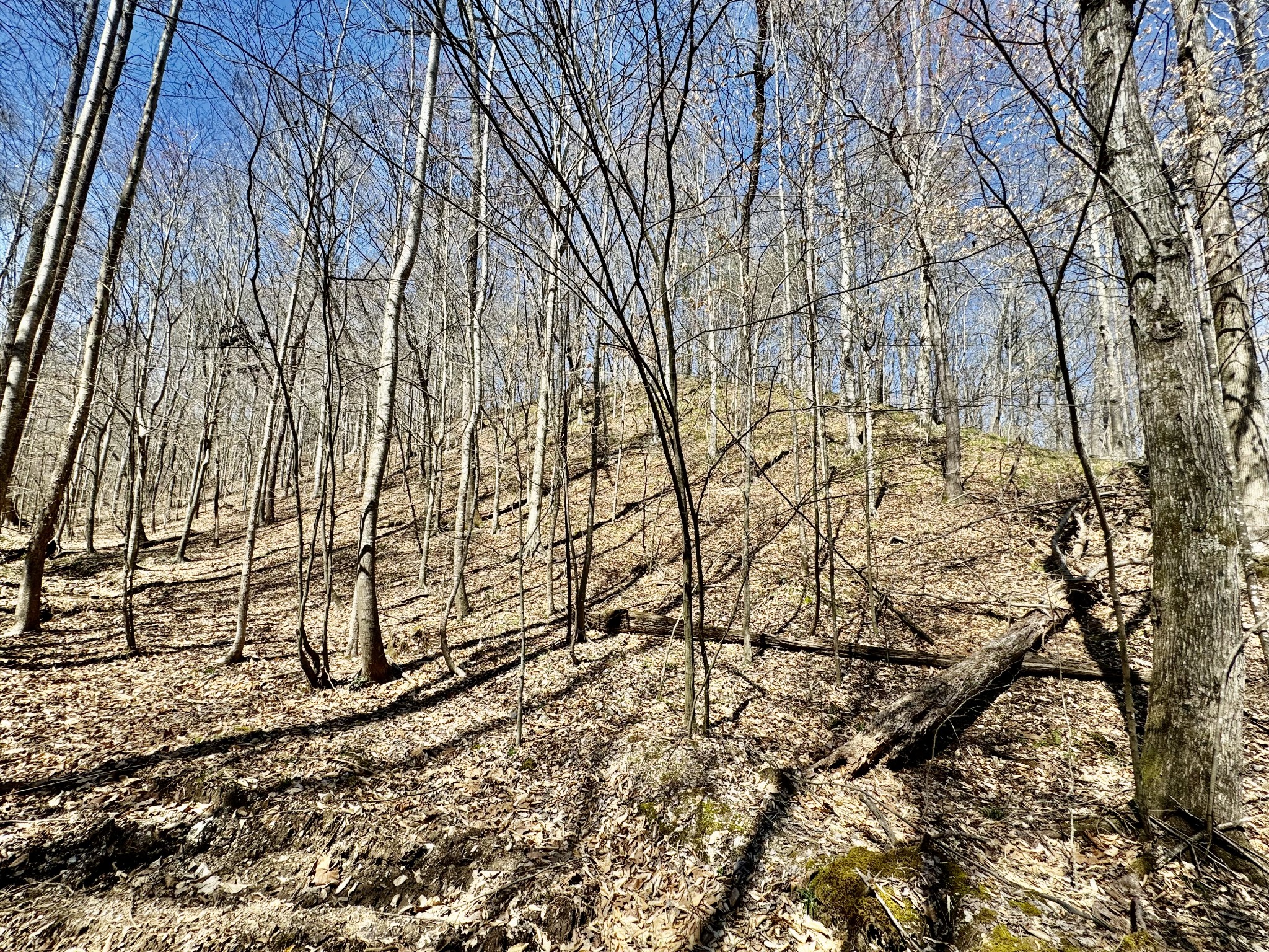 0 Allens Creek Road Hohenwald, TN 38462 - Photo 71 of 86