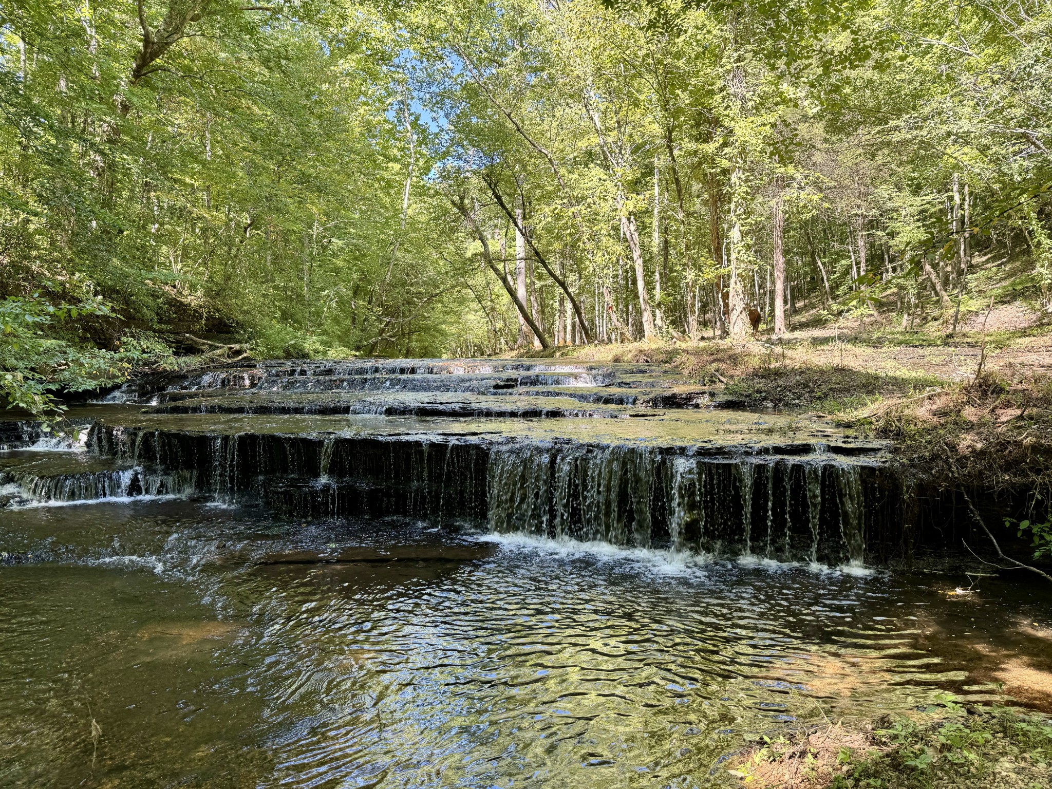 0 Allens Creek Road Hohenwald, TN 38462 - Photo 73 of 86 a view of a lake with a house in the background
