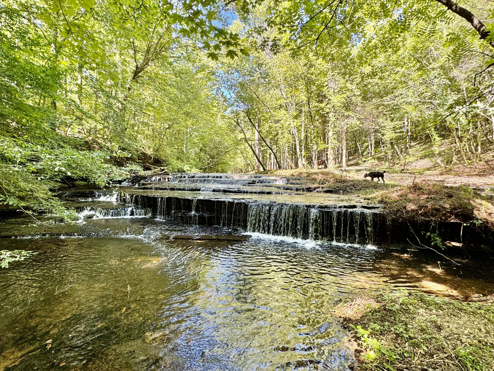 0 Allens Creek Road Hohenwald, TN 38462 - Photo 75 of 86 a view of house with swimming pool and trees in the background
