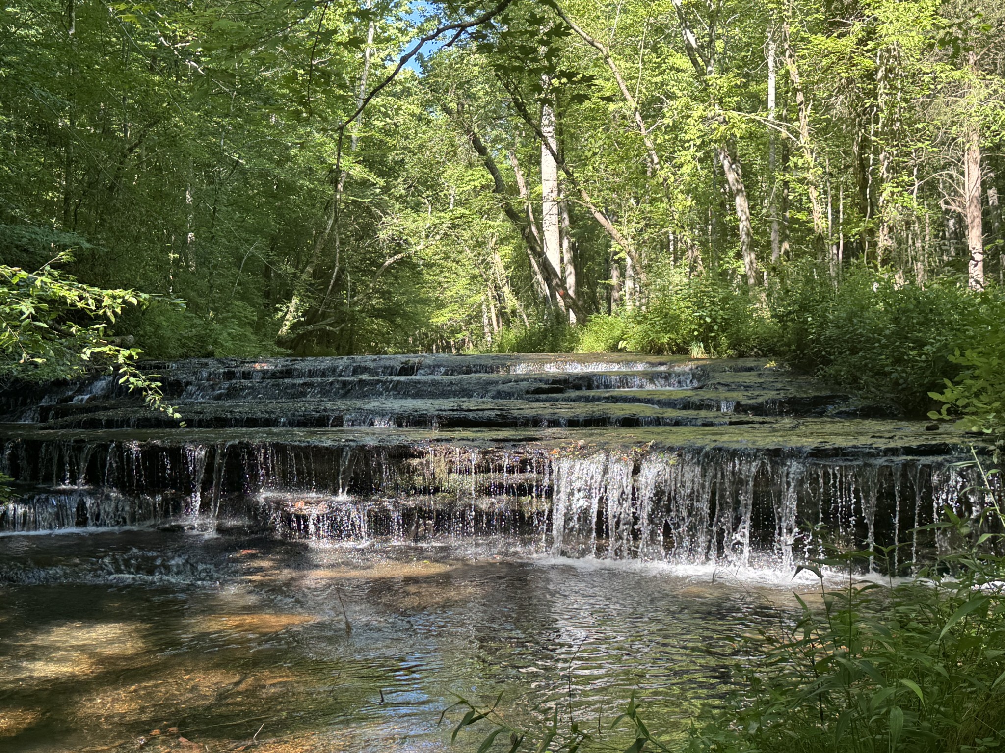 0 Allens Creek Road Hohenwald, TN 38462 - Photo 79 of 86 a view of a lake with a house in the background