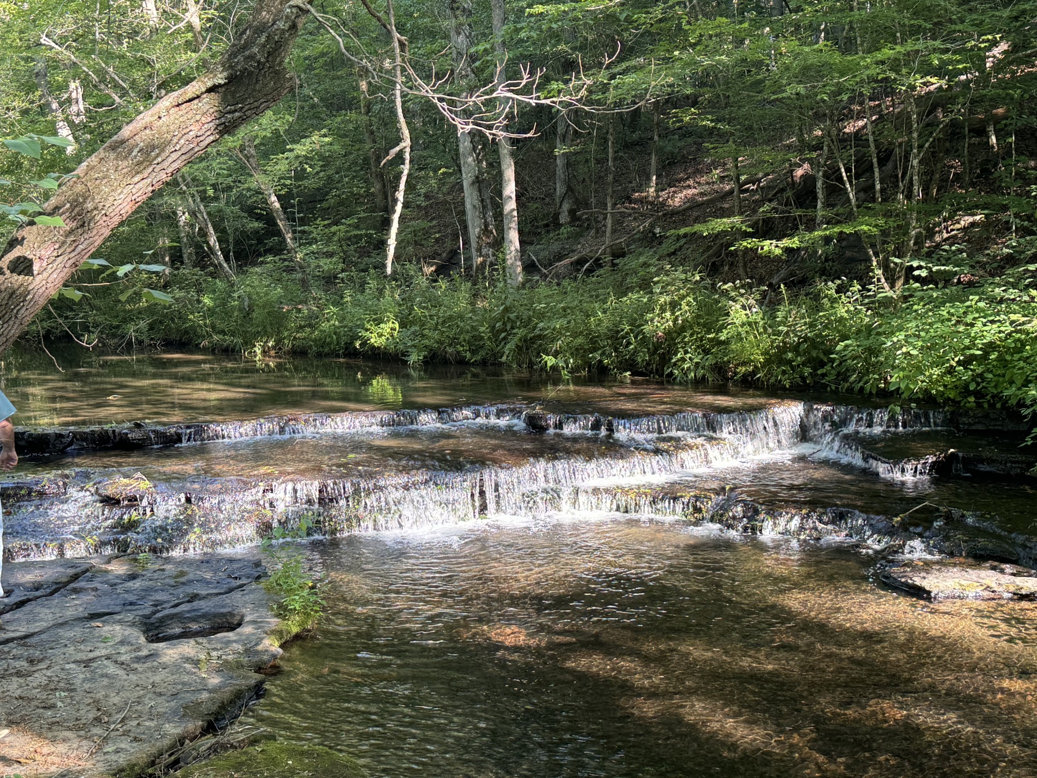 0 Allens Creek Road Hohenwald, TN 38462 - Photo 82 of 86