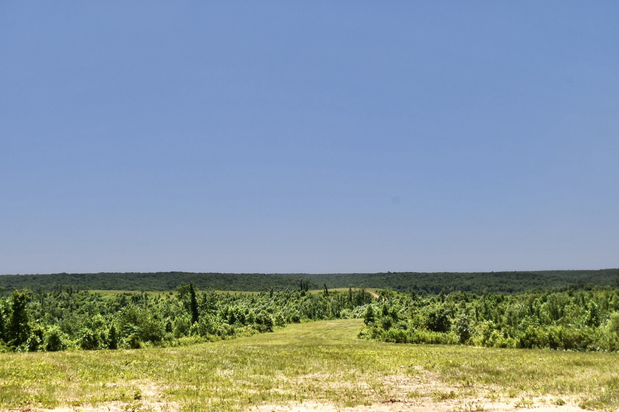 0 Allens Creek Road Hohenwald, TN 38462 - Photo 83 of 86 a view of yard with swimming pool