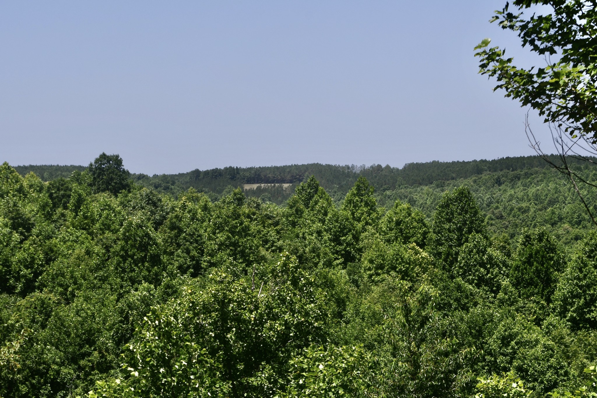 0 Allens Creek Road Hohenwald, TN 38462 - Photo 84 of 86