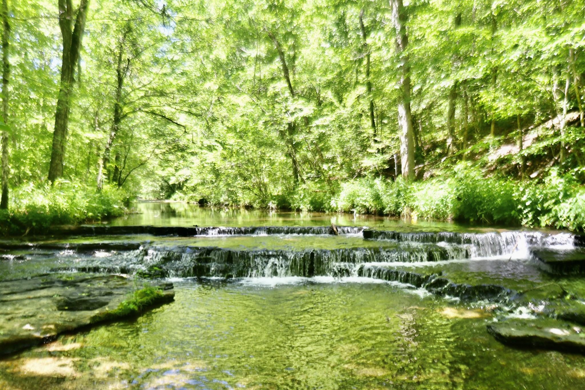 0 Allens Creek Road Hohenwald, TN 38462 - Photo 86 of 86 a view of a lake with houses