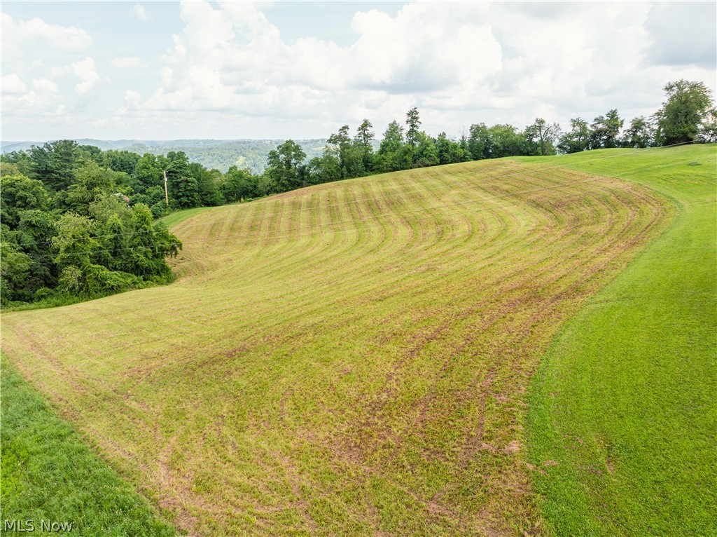 50109 Sykes Ridge Road Clarington, OH 43915 - Photo 15 of 39