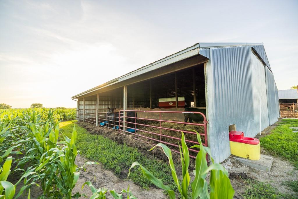 10791 Northeast State Rte D Butler, MO 64730 - Photo 77 of 99
