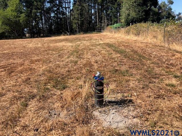 18009 Hazelnut Ridge Road Silverton, OR 97381 - Photo 10 of 12 Gallery Image 10