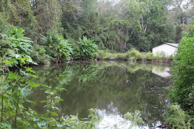 $125,000 | 338 Browning Road, Elloree, SC 29047