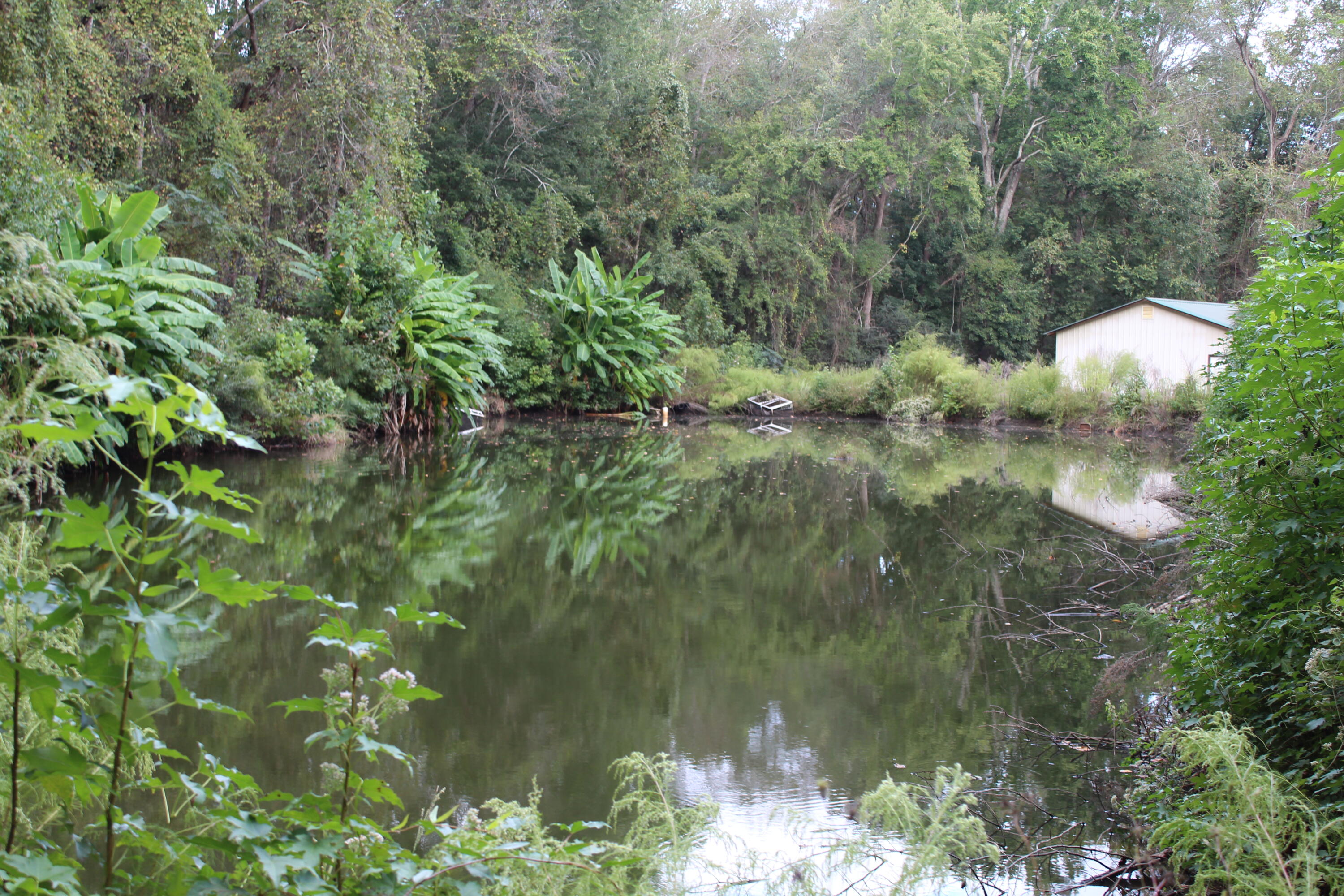 338 Browning Road Elloree, SC 29047 - Photo 16 of 59 IMG_8407