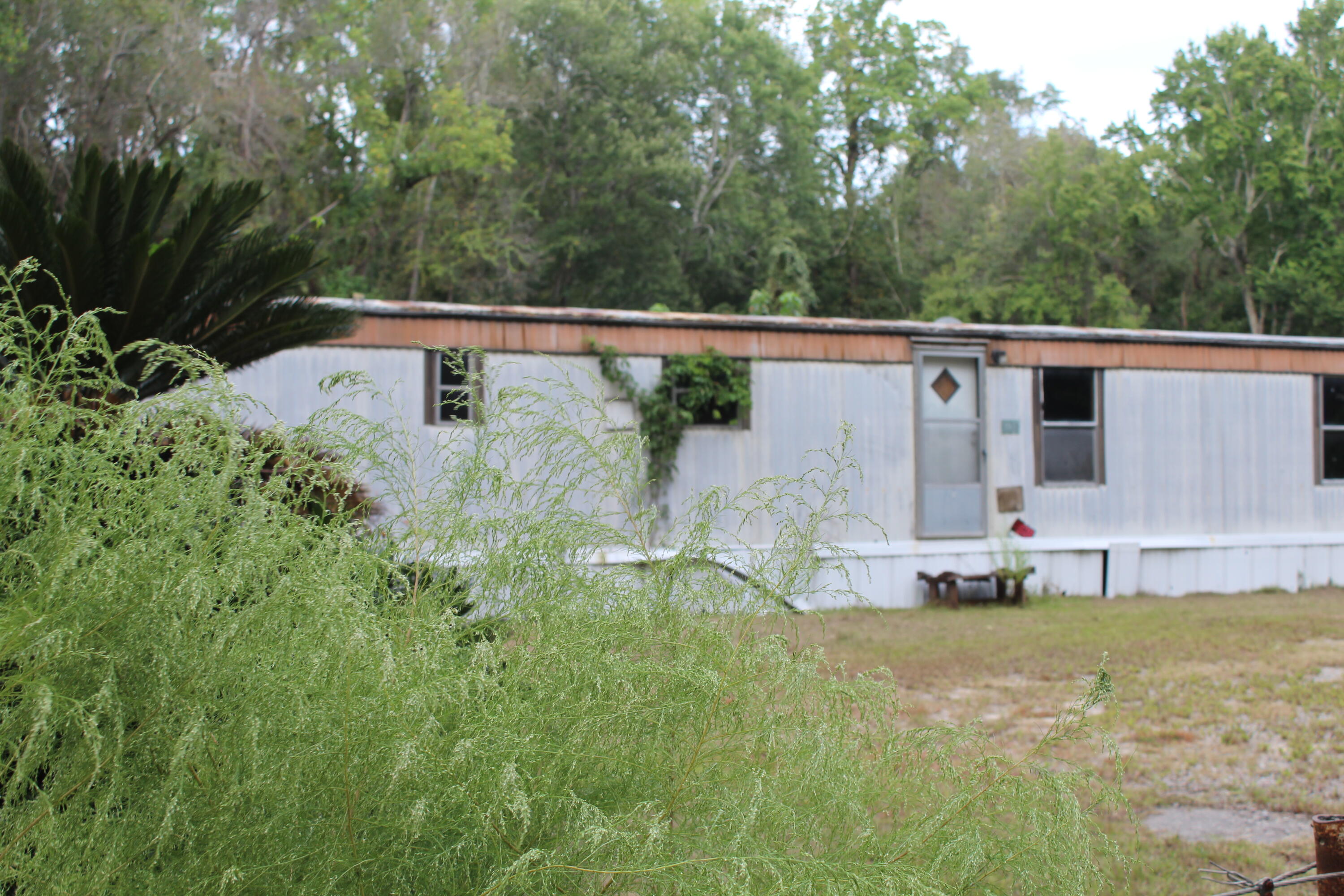 338 Browning Road Elloree, SC 29047 - Photo 2 of 59 IMG_8406