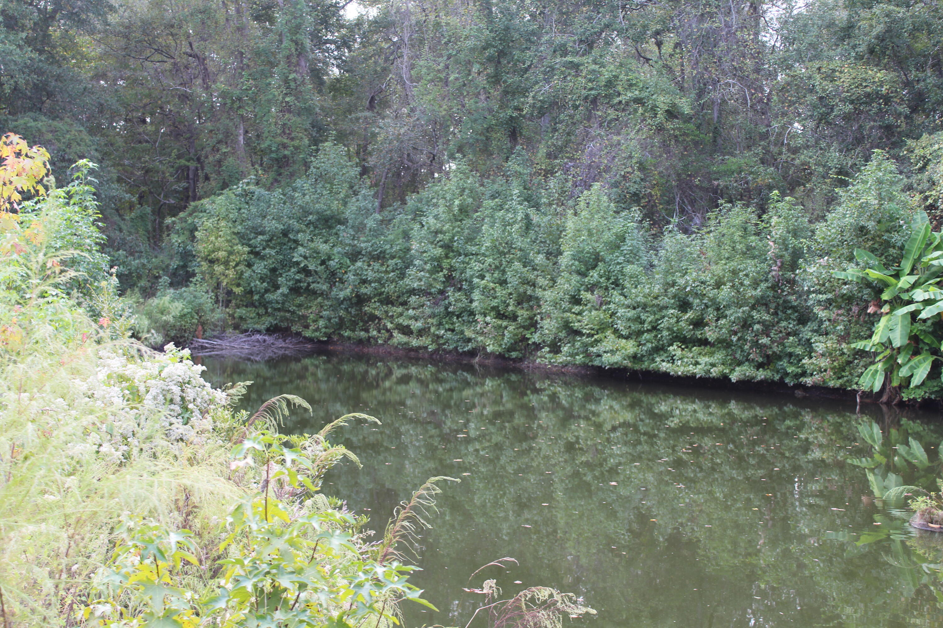 338 Browning Road Elloree, SC 29047 - Photo 30 of 59 IMG_8428