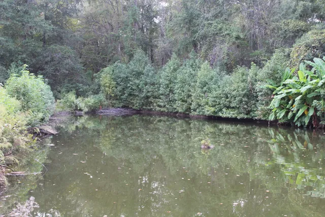 $125,000 | 338 Browning Road, Elloree, SC 29047