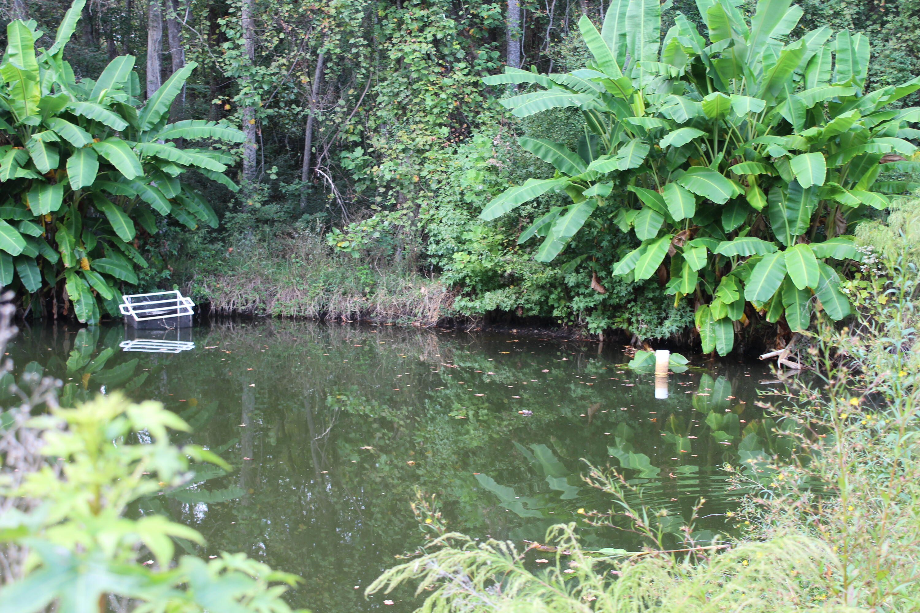 338 Browning Road Elloree, SC 29047 - Photo 32 of 59 IMG_8430