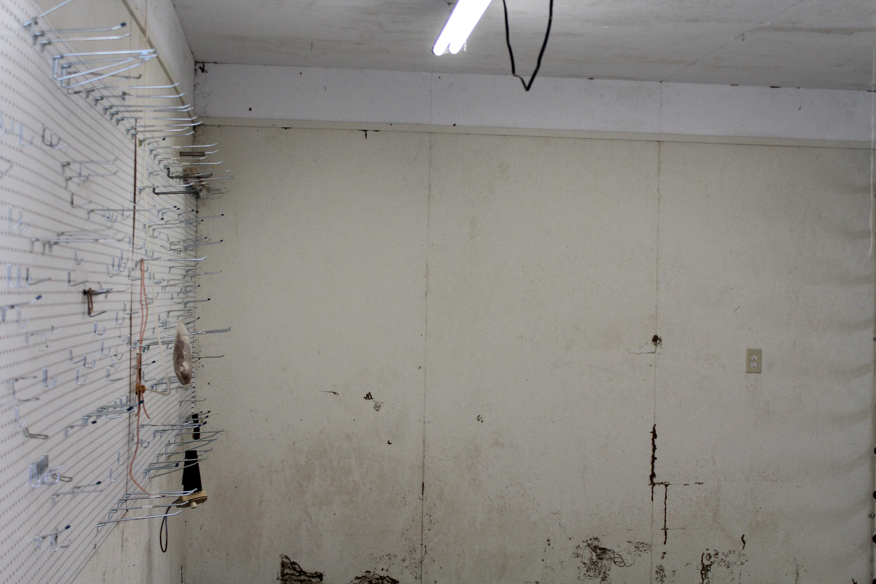 338 Browning Road Elloree, SC 29047 - Photo 36 of 59 IMG_8433