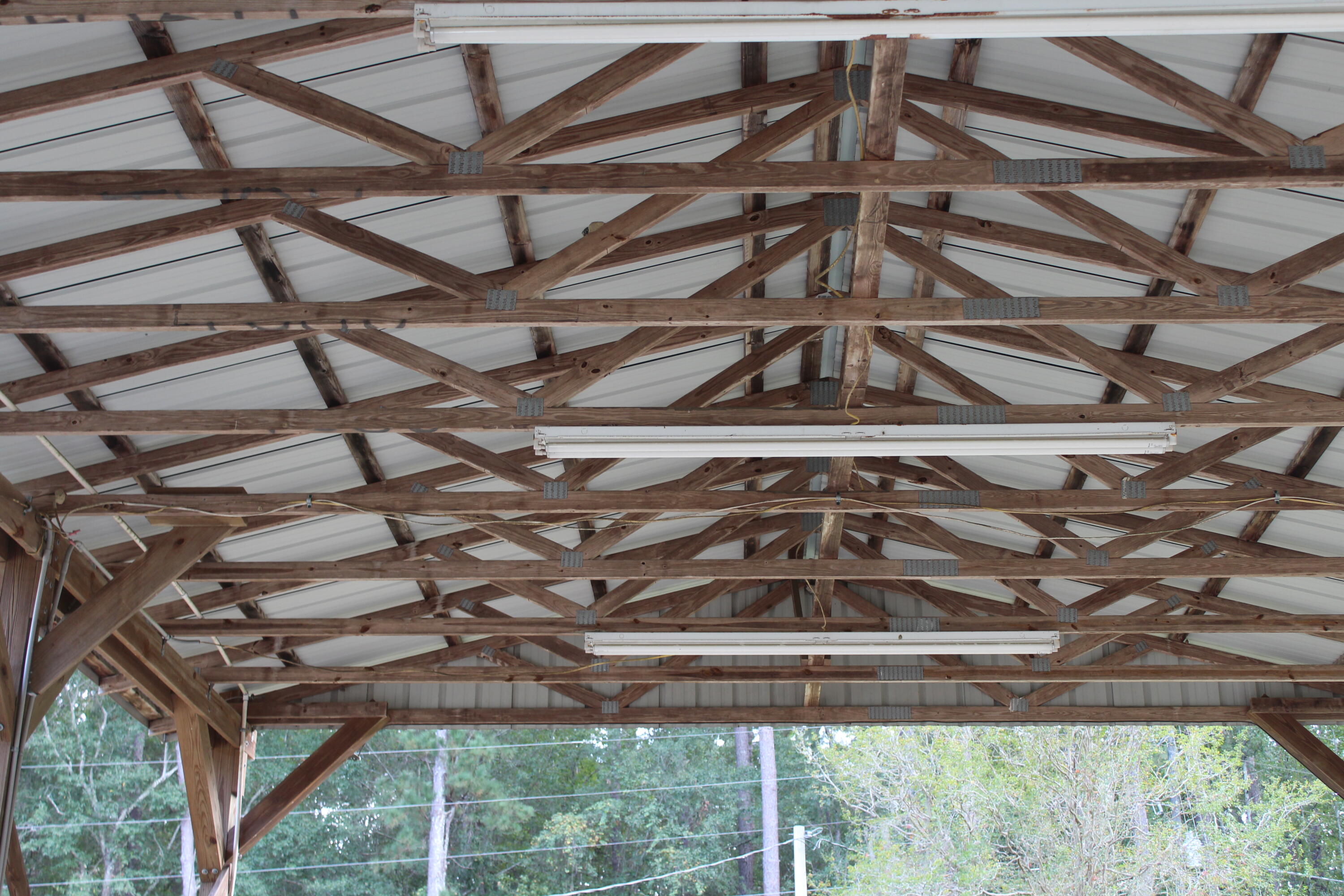 338 Browning Road Elloree, SC 29047 - Photo 43 of 59 IMG_8439