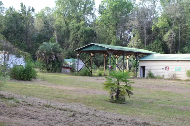 $125,000 | 338 Browning Road, Elloree, SC 29047