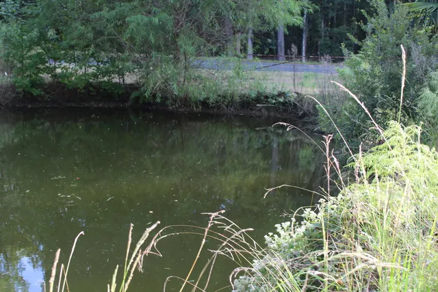 $125,000 | 338 Browning Road, Elloree, SC 29047