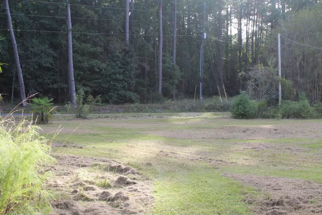 $125,000 | 338 Browning Road, Elloree, SC 29047