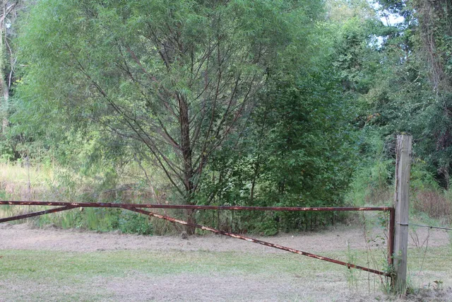 $125,000 | 338 Browning Road, Elloree, SC 29047