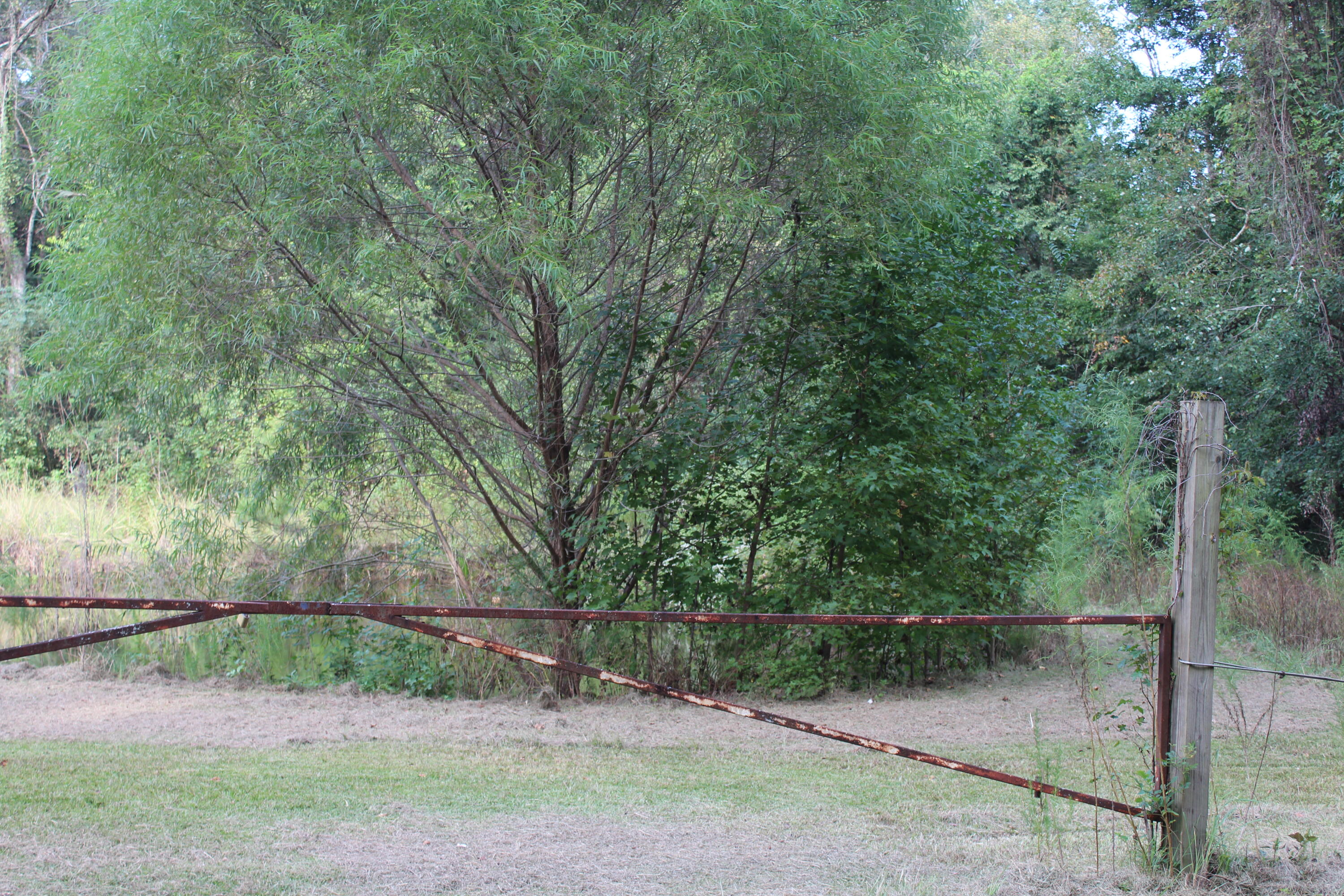 338 Browning Road Elloree, SC 29047 - Photo 59 of 59 IMG_8464