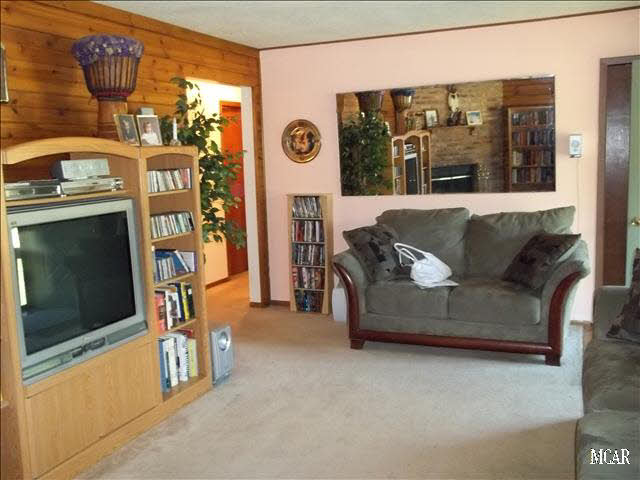 3801 Knepper Road Lambertville, MI 48144 - Photo 4 of 9 20017196-3.JPG