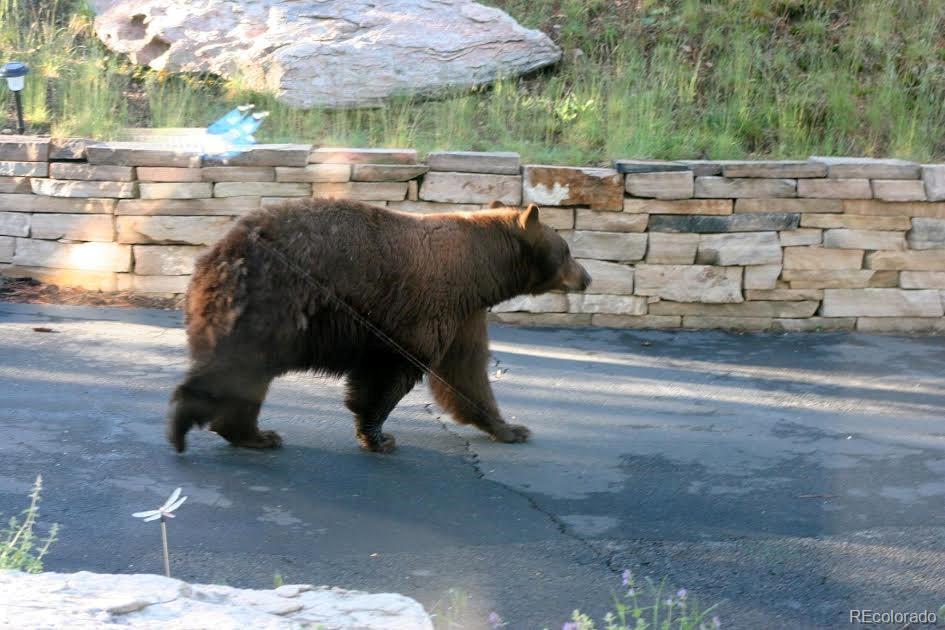 955 Castle Ridge Road Golden, CO 80401 - Photo 26 of 27 a view of outdoor space with patio