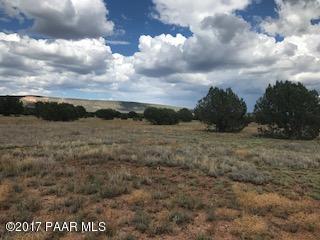 2001 Forest Line Road Williams, AZ 86046 - Photo 3 of 25 IMG_1354
