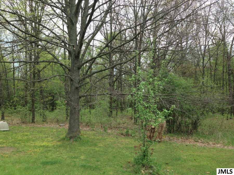 1353 East Kimmel Road Jackson, MI 49201 - Photo 25 of 32 Photo 25