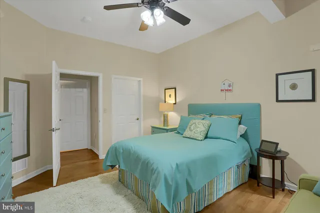 a view of a yard with plants and large trees