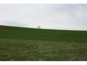 334 Davy Crockett Road, Unit 5 Limestone, TN 37681 - Photo 1 of 7 Photo 1