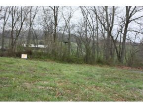 334 Davy Crockett Road, Unit 5 Limestone, TN 37681 - Photo 7 of 7 View across road from lot